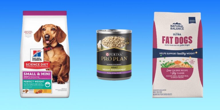 The Best Dog Food for Weight Loss in 2024